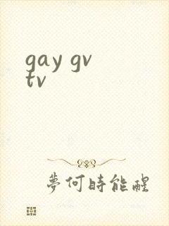 gay gv tv封面