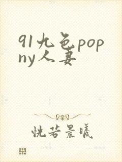 91九色popny人妻封面