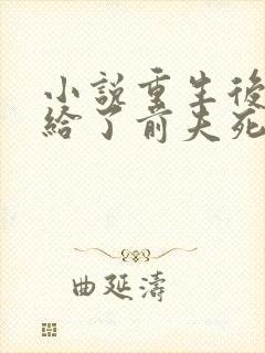 小说重生后我嫁给了前夫死对头