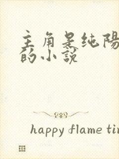 主角是纯阳之体的小说