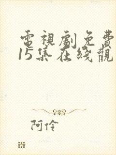 电视剧免费吾岸15集在线观看封面