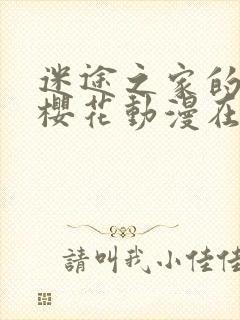 迷途之家的姐姐樱花动漫在线观看