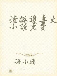 渣总追妻火葬场小说免费