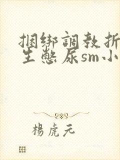 捆绑调教折磨女生憋尿sm小说