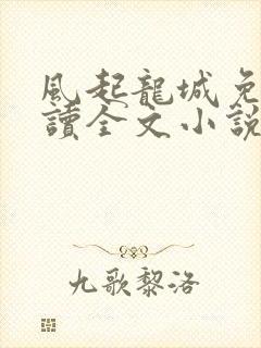 风起龙城免费阅读全文小说