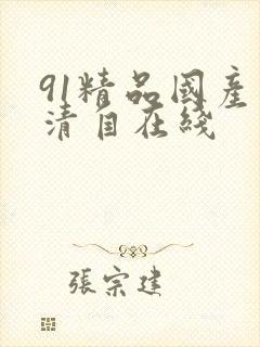 91精品国产高清自在线