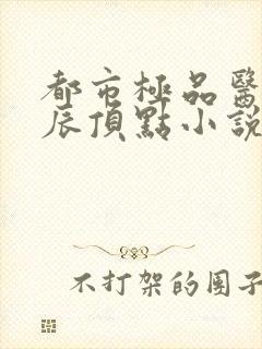 都市极品医神叶辰顶点小说