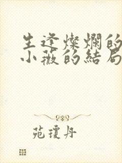 生逢灿烂的日子小薇的结局