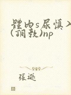 体内s尿慎入h(调教)np