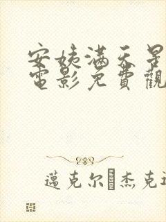 安姨满天星经典电影免费观看