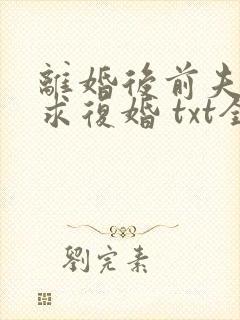 离婚后前夫哭着求复婚 txt全本封面