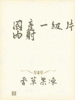 国产一级片无套内射封面