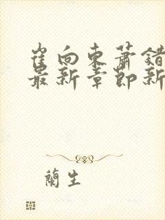 崔向东萧错小说最新章节新笔趣阁