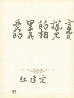 爱里的谎言仇恨的真相免费观看