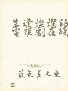 生逢灿烂的日子电视剧在线观看免费封面