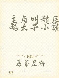 主角叫赵辰的穿越太子小说