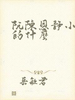 阮陈恩静小说讲的什么