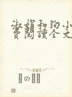 淑娟和狗小说免费阅读全文封面