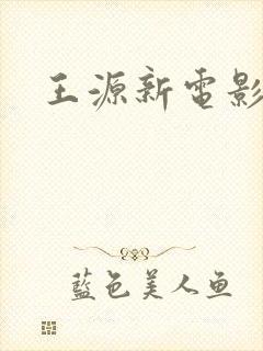 王源新电影封面