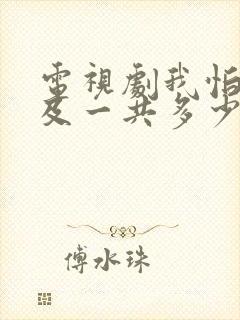 电视剧我怕来不及一共多少集