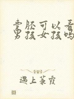 囊胚可以看出是男孩女孩吗