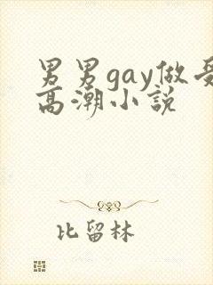 男男gay做受高潮小说