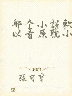 哪个小说软件可以看原耽小说