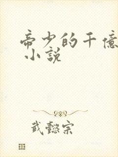 帝少的千亿萌妻 小说