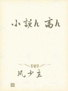小说h 高h