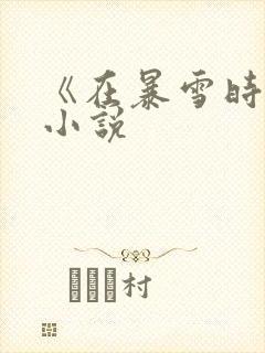 《在暴雪时分》小说封面