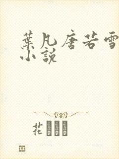 叶凡唐若雪医婿小说