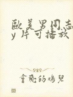 欧美男同志gay 片可播放封面