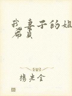 我妻子的姐姐金希贞封面