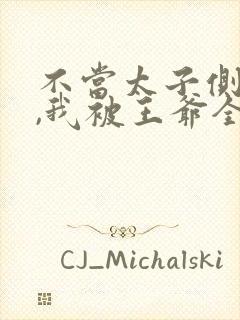 不当太子侧妃后,我被王爷全集免费看封面