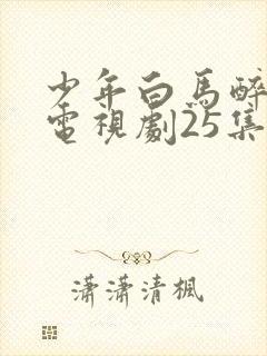 少年白马醉春风电视剧25集免费观看