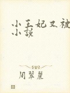 小王妃又被揍啦小说