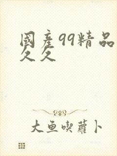 国产99精品久久久封面