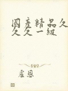 国产精品久久久久久一级