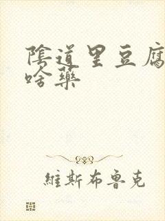 阴道里豆腐渣用啥药