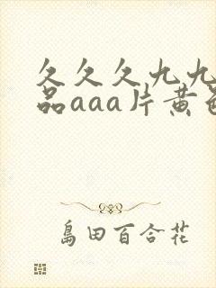 久久久九九九精品aaa片黄色封面