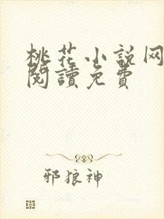 桃花小说网小说阅读免费