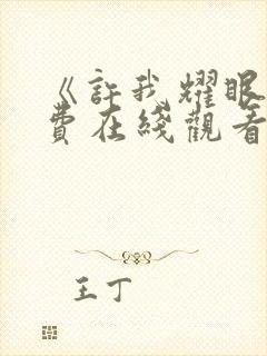 《许我耀眼》免费在线观看封面