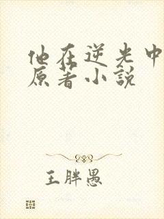 他在逆光中告白原著小说