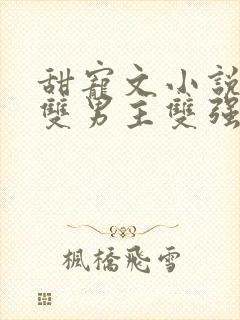 甜宠文小说推荐双男主双强