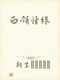白领情缘