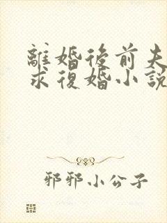 离婚后前夫哭着求复婚小说免费在线听书