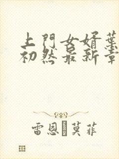 上门女婿叶辰萧初然最新章节免费阅读