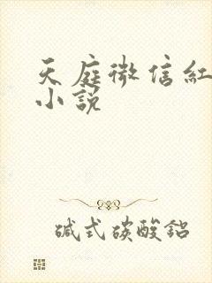 天庭微信红包群小说封面