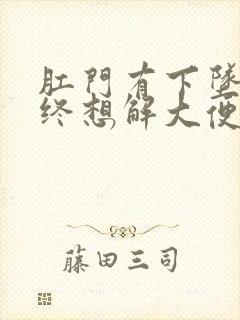 肛门有下坠感始终想解大便怎么回事