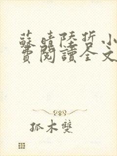 苏晴陆哲小说免费阅读全文